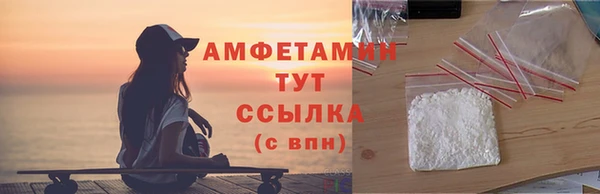 шишки Заволжск