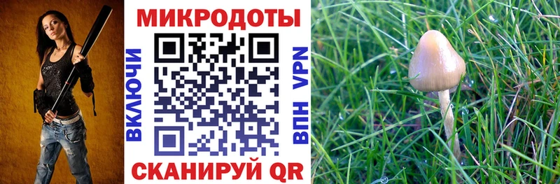 Галлюциногенные грибы Magic Shrooms  Киреевск 