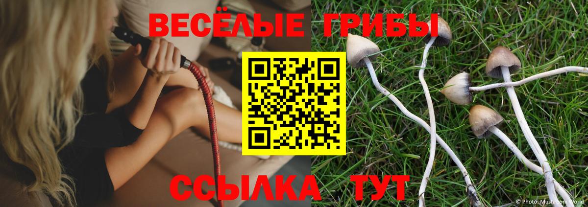 Псилоцибиновые грибы Cubensis Киреевск